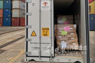 空集装箱夹带28吨腐烂变质食品从黄岛入境被查